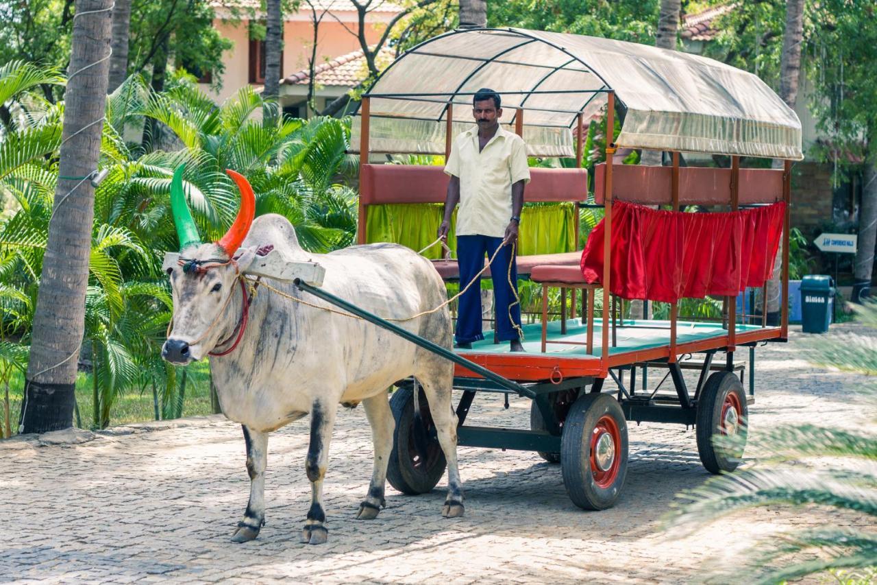 Esthell Village Resort Mahábalipuram Kültér fotó